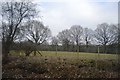 Farmland by the railway line