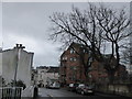 Winter trees in Church Street