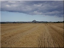NT4876 : Harvested barley, Garleton by Richard Webb