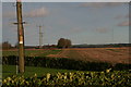 Railway trackbed north of Wire Hill Lane, Wragby