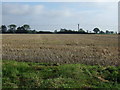 Stubble field off Stonham Road