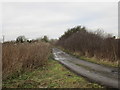 Track on the outskirts of Beverley