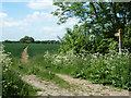 Footpath north-west from New Way Lane