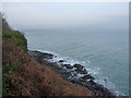 Along the shoreline at Roskilly