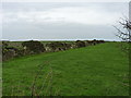 Ancient field boundary at No Man