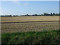 Stubble field off Parker