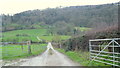 Track and bridleway from The Weston