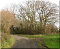 Sharp bend on Barrington Hill Road