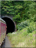 SJ9853 : Cheddleton Tunnel portal near Leekbrook, Staffordshire by Roger  D Kidd
