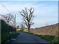 School Road, Little Horkesley