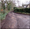 Access road to Treetops, Colwall