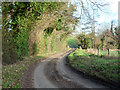 Country lane