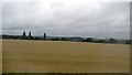 Farmland, Sandridgebury