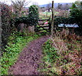 Very muddy footpath on the east side of Mathon Road, Colwall