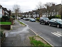 TQ3894 : Woodberry Way, Chingford Green [2] by Christine Johnstone