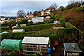 Valley Allotments, Bradford