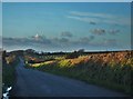 SM8815 : Lane From Rosehill To Haroldston West by Deborah Tilley