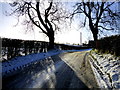 Tree shadows, Gortaclare