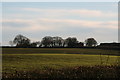 Low hills, towards Langton Hill, near Wragby