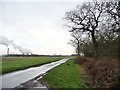 Chester Court Road at Jub Close Wood