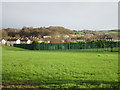 Green fence