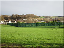 SE1616 : Green fence by Jonathan Thacker
