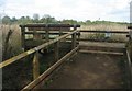 Viewing deck - Fleet Pond