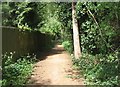 Path to Fleet Pond