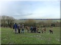 Twitchers at Wall Heath