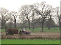 Muckspreading at Hare Lane farm