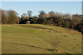 Colley Hill