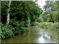 The River Churnet near Cheddleton, Staffordshire