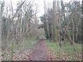 Bridleway east of Salthill Lodge