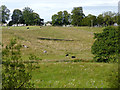 Riverside pasture near Horse Bridge, Staffordshire