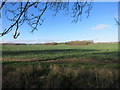 SU4171 : Farmland near Boxford by Des Blenkinsopp