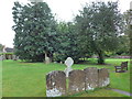 St Mary, Chesterton: churchyard (d)