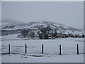 Meadowfoot, Wanlockhead