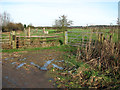 Pastures beside the A143 road