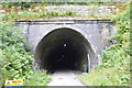 SK1273 : Chee Tor Tunnel, eastern portal by N Chadwick