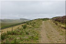 NN9636 : Road through Glen Shee by Richard Webb