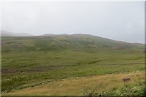 NN9636 : Upper Glen Shee by Richard Webb