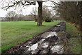 Footpath at Crews Hill