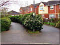 Path from Arrowsmith Drive towards King