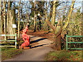 Sculpture Trail entrance at Fforest Fawr