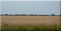 TR0728 : Flat arable landscape by N Chadwick
