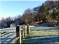 Cold and frosty bridleway