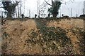 Tree felling in a railway cutting