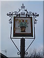 TF4609 : The Flower Pot (Sign) - Public Houses, Inns and Taverns of Wisbech by Richard Humphrey