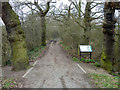 Roding Valley Meadows Nature Reserve