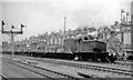 Typical transfer-freight leaving Ferme Park Up Yard, 1959